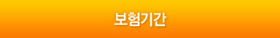 보험기간